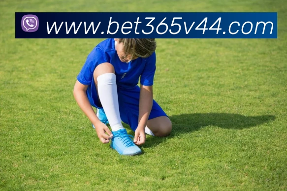 bet365中国官网APP 封面图